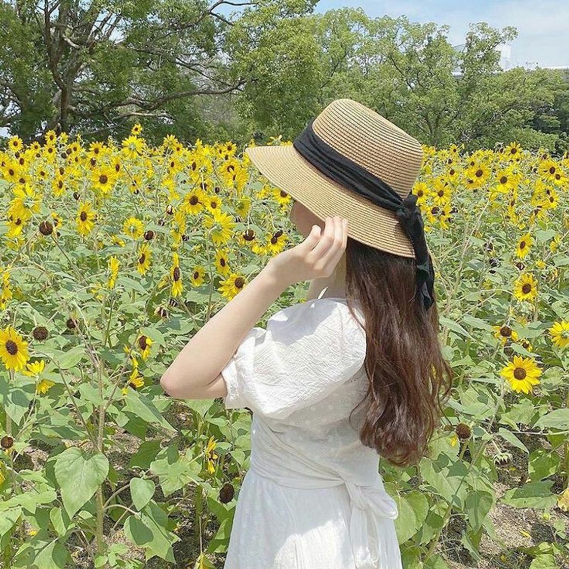 Social 🌻