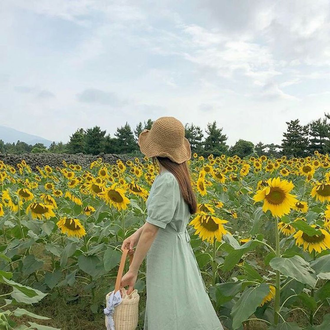Social 🌻