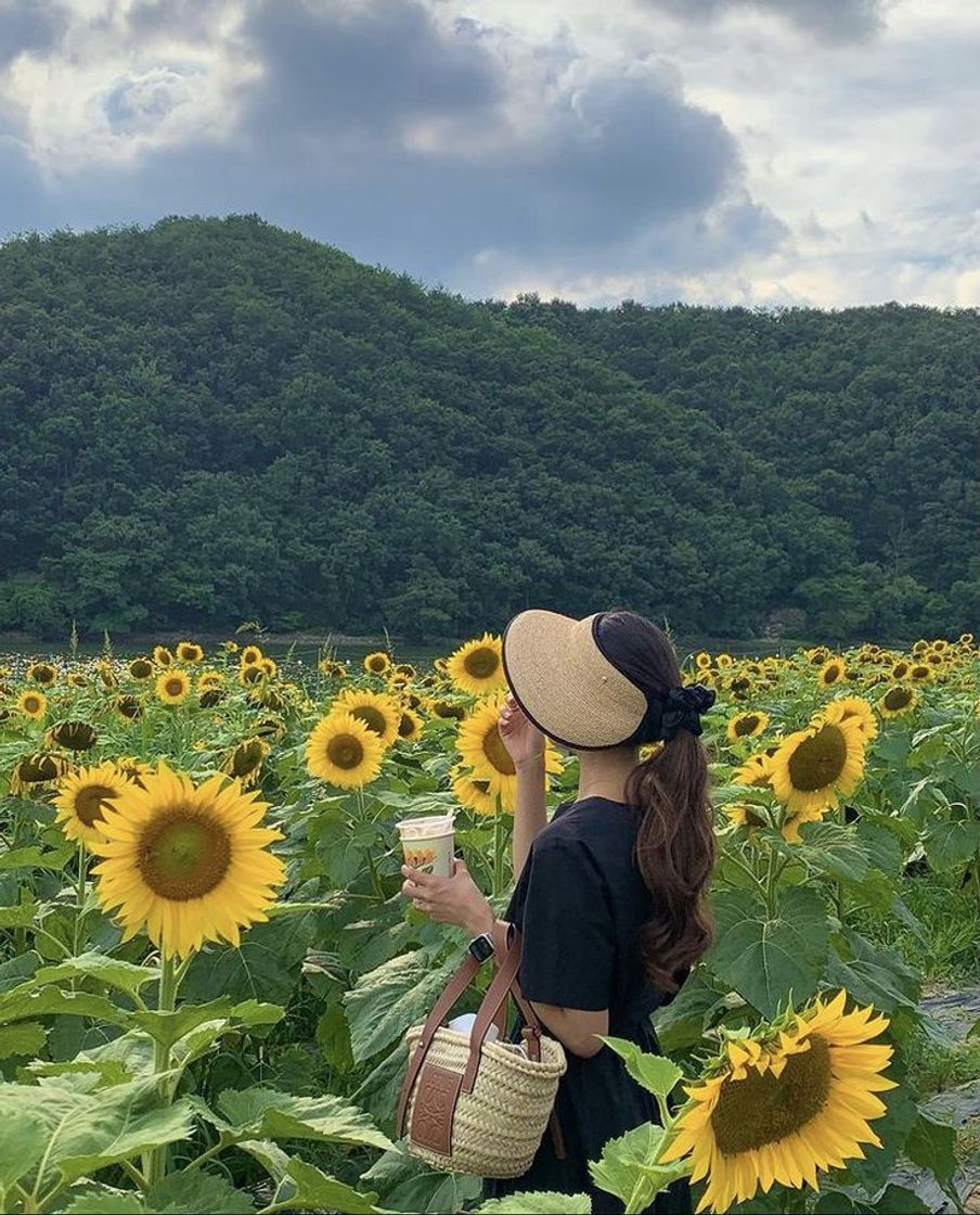 Social 🌻