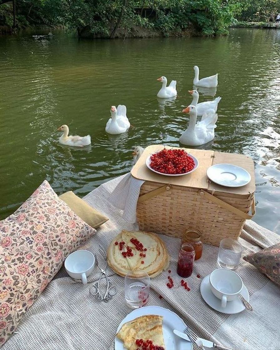 Social 🦢