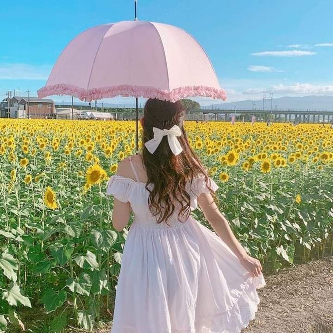 Social 🌻