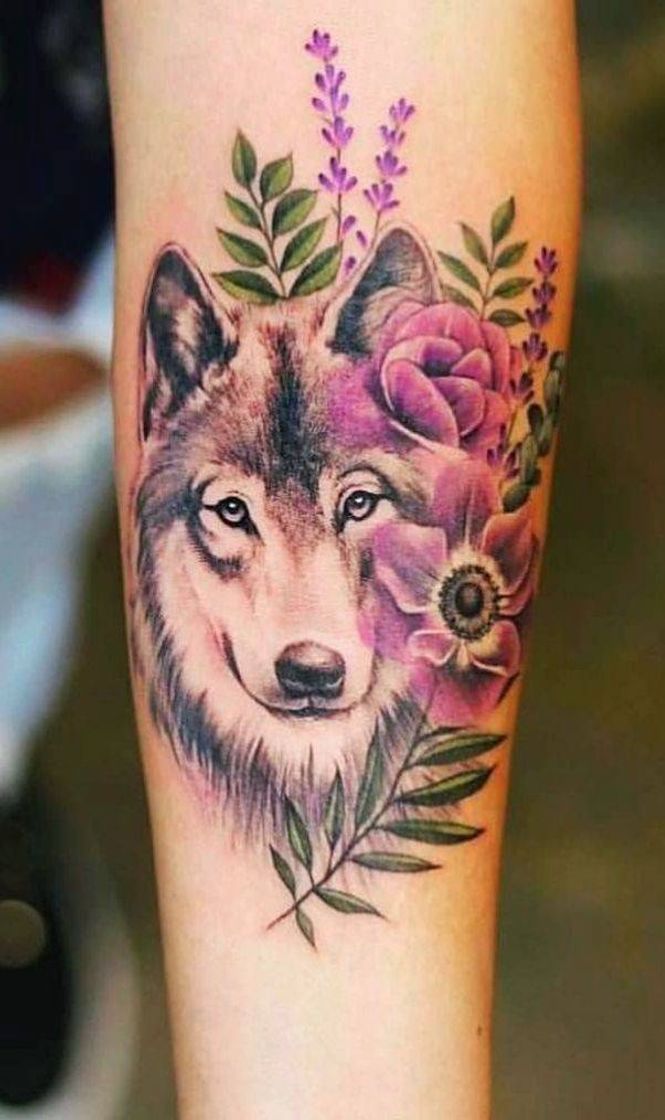 Moda Wolf