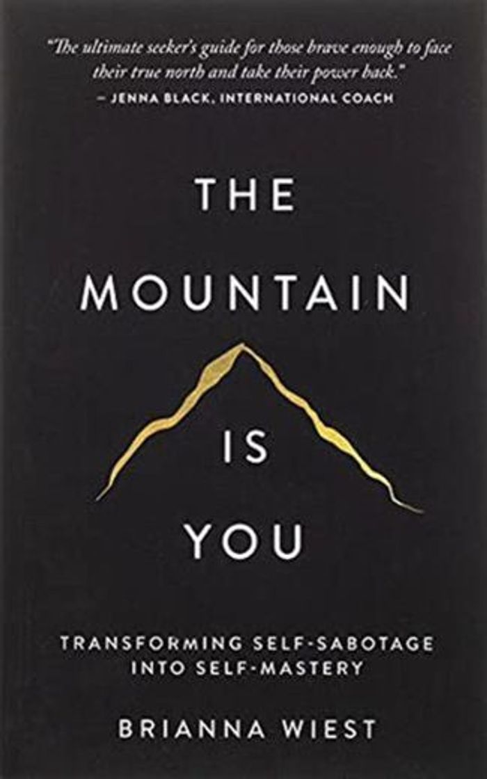 Book The Mountain Is You: Transforming Self