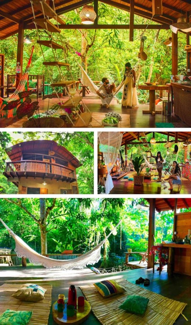 Places Casa da Árvore dos sonhos na AMAZÔNIA! 🇧🇷