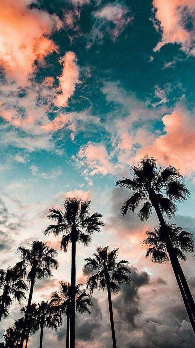 Moda Wallpaper de 🌴