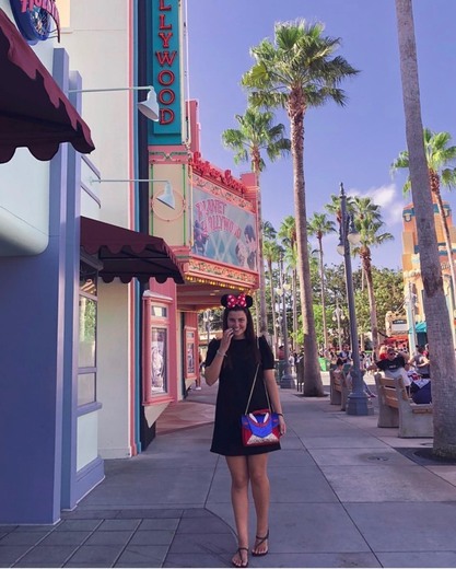 Disney's Hollywood Studios