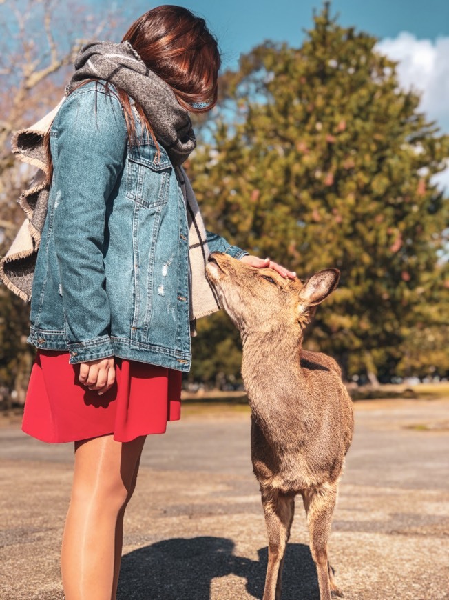 Place Nara Park