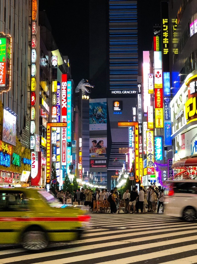 Place Kabukicho Sakura-dori Street