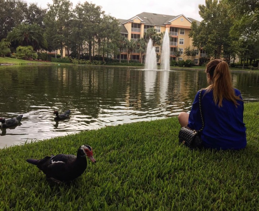 Place Sheraton Vistana Resort Villas, Lake Buena Vista/Orlando