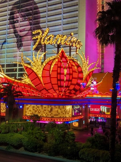 Flamingo Las Vegas