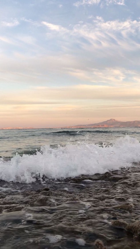 Social Beach 12
