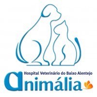 Place Hospital Veterinário do Baixo Alentejo