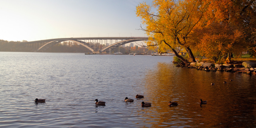 Place Rålambshovsparken
