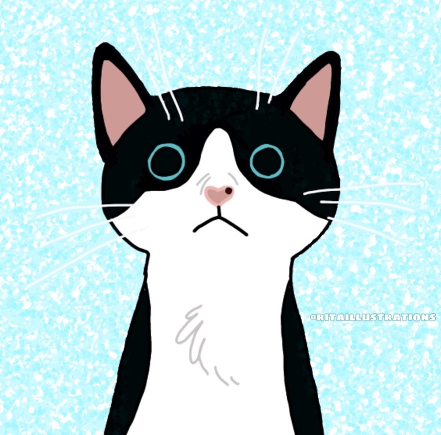 Social Cat illustration 😻