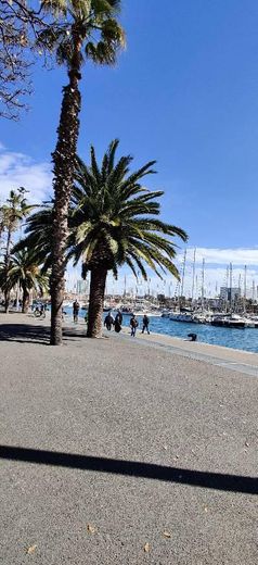 Port Vell