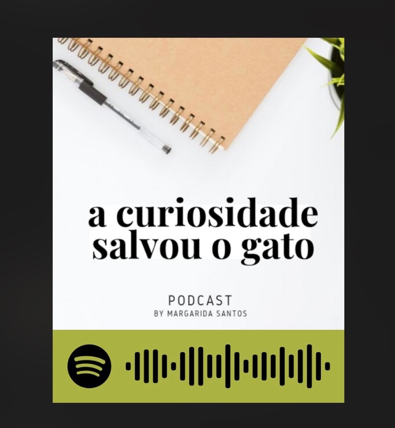A curiosidade salvou o gato 