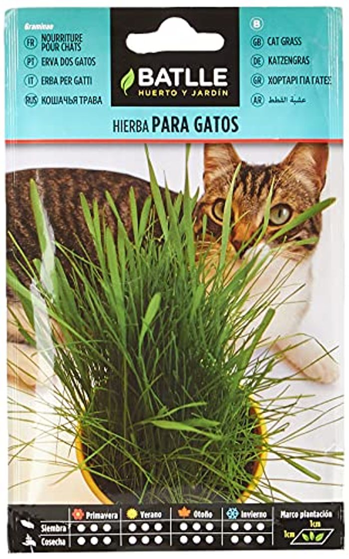 Producto Semillas Aromáticas