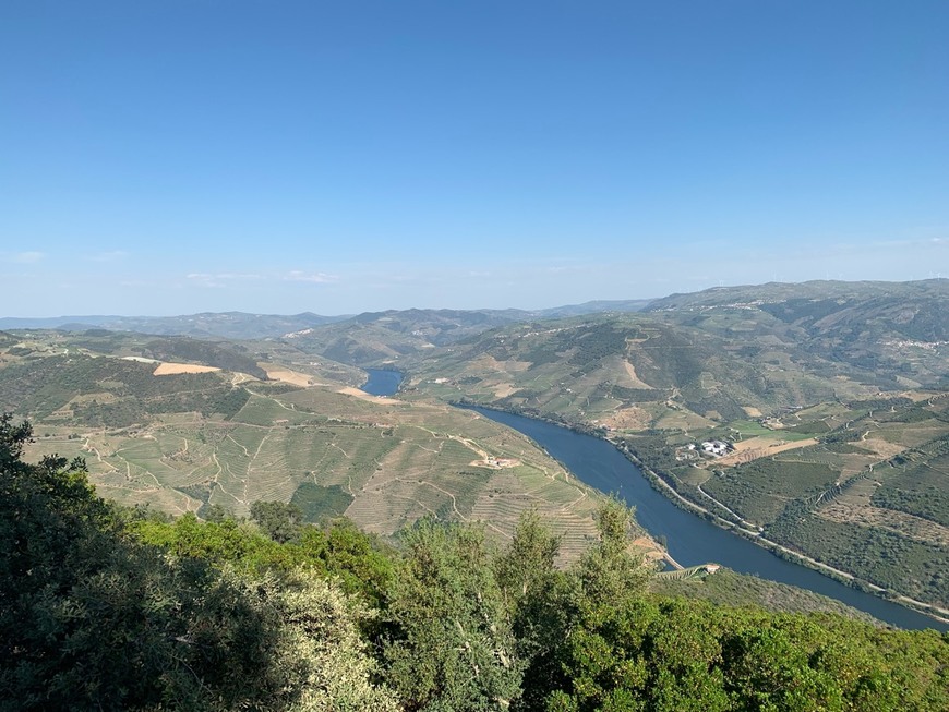 Place São Leonardo de Galafura