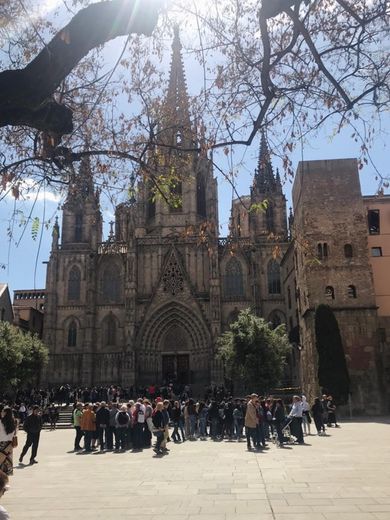 Catedral de Barcelona