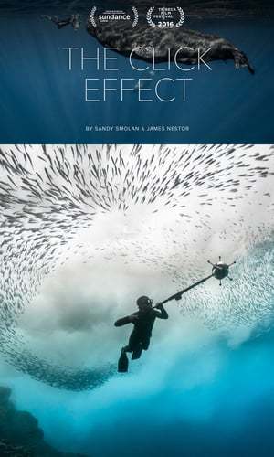 Click Effect