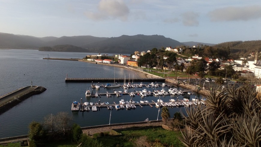 Ortigueira