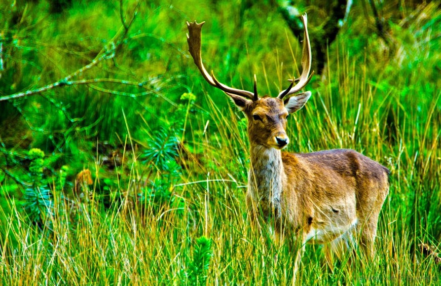 Lugar Tapada Nacional de Mafra