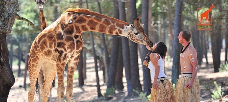 Place Badoca Safari Park