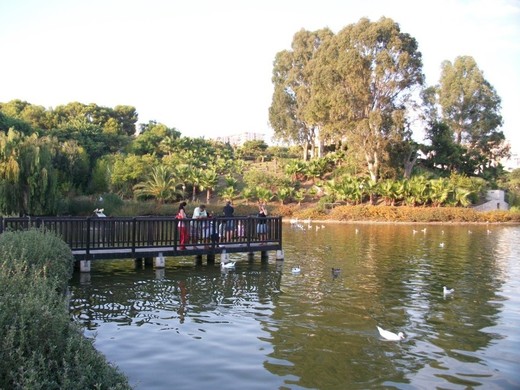 Parque de La Paloma