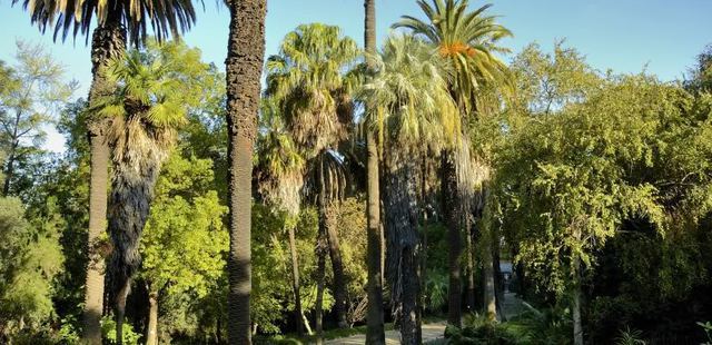 Place Jardín Botánico de la Universidad de Lisboa