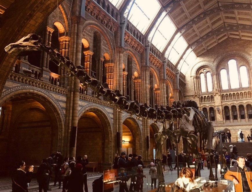 Place Natural History Museum