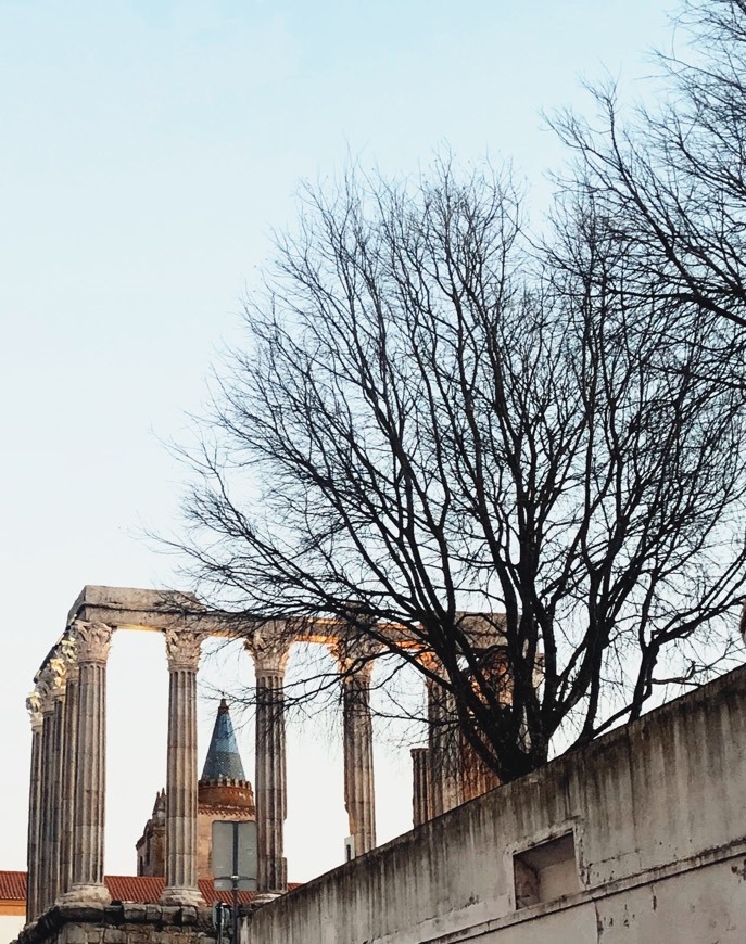 Place Templo romano de Évora