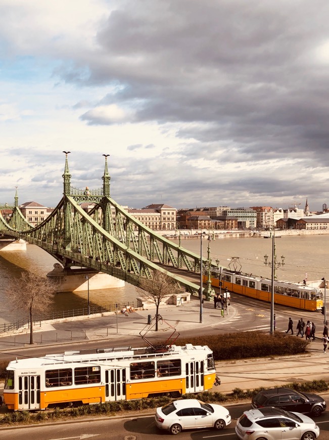 Lugar Puente de la Libertad