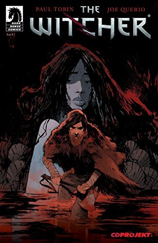 The Witcher #5