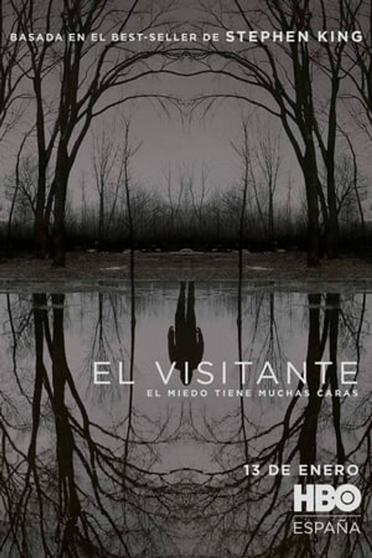 Serie El visitante