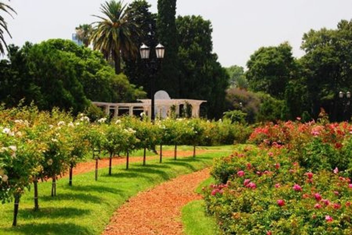 Place El Rosedal de Palermo