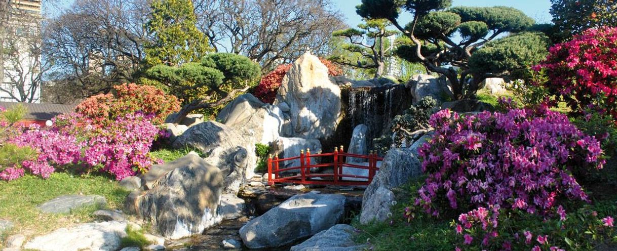 Lugar Jardín Japonés