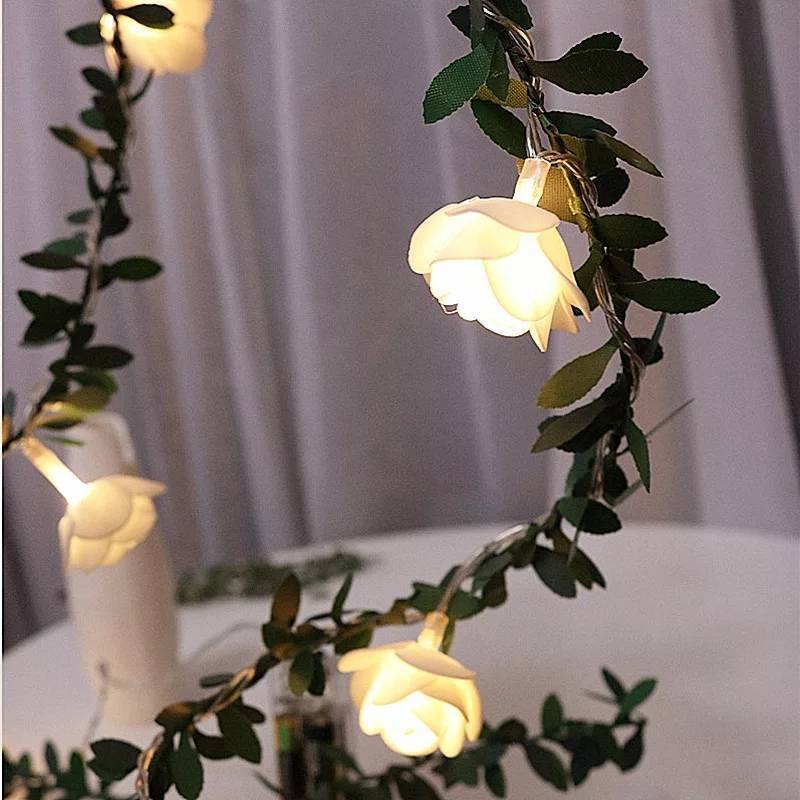 Social Leds com rosas