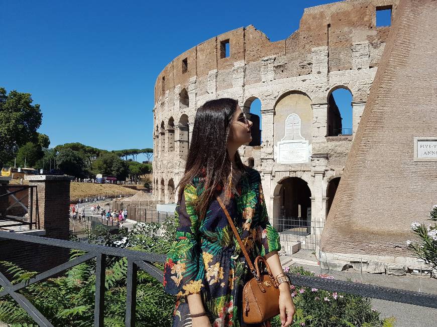 Lugar Coliseo de Roma