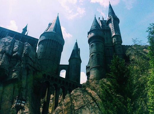 The Wizarding World Of Harry Potter