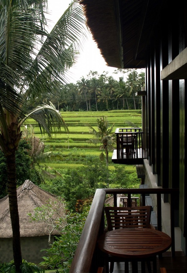 Places Maya Ubud 