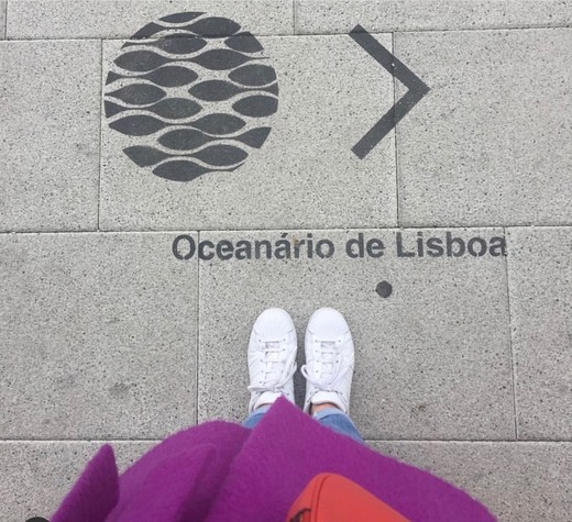 Oceanario de Lisboa