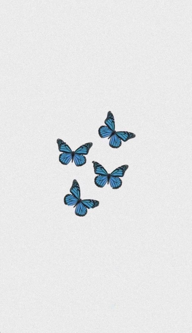Social 🦋