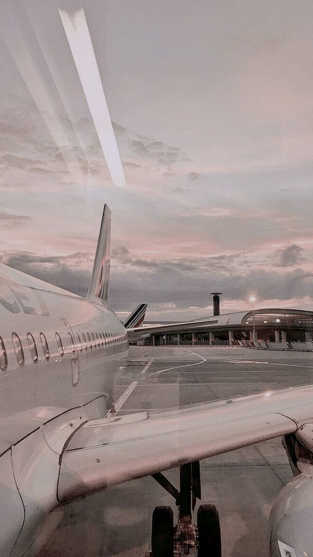Social ✈️