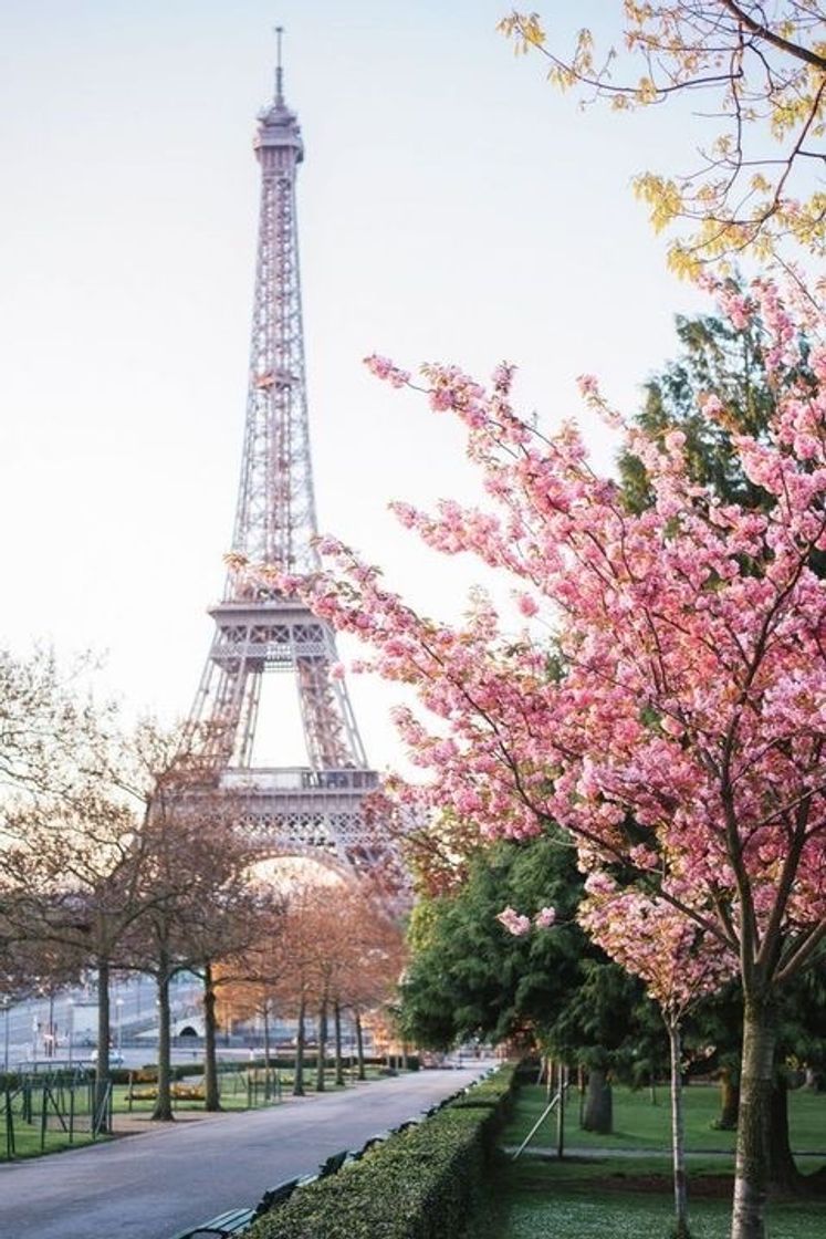 Place Torre Eiffel