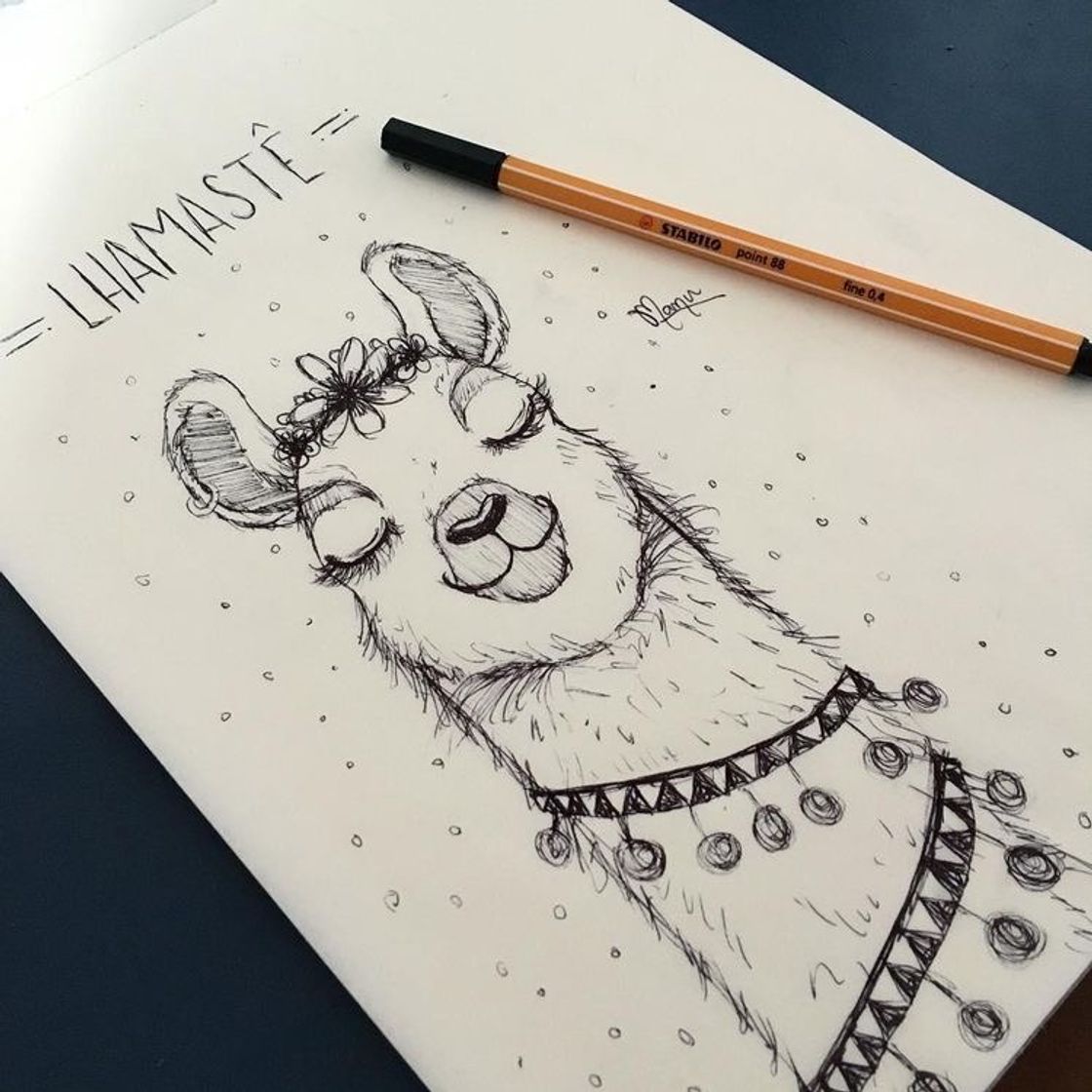 Social 🦙