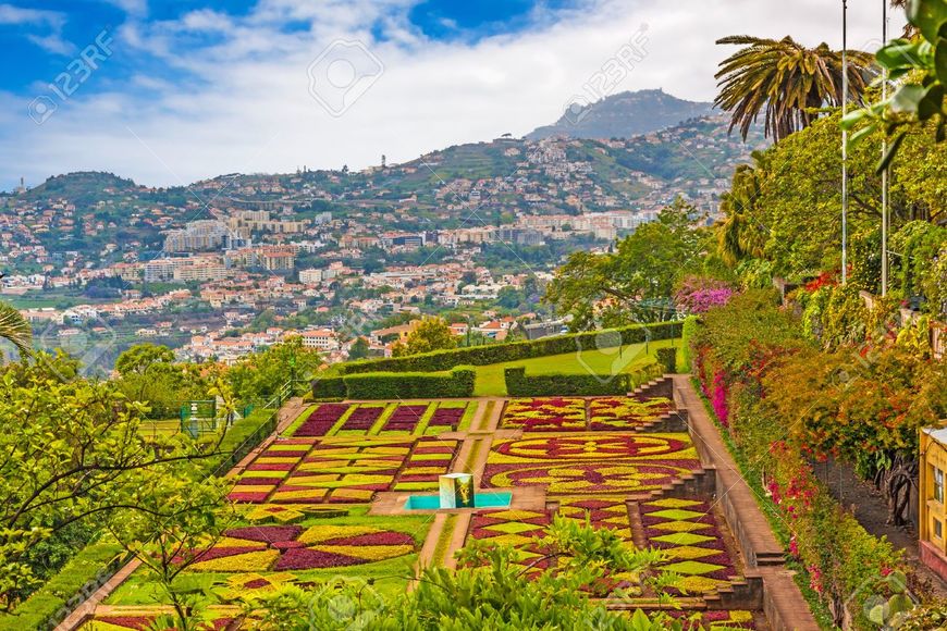 Lugar Jardín Botánico de Madeira