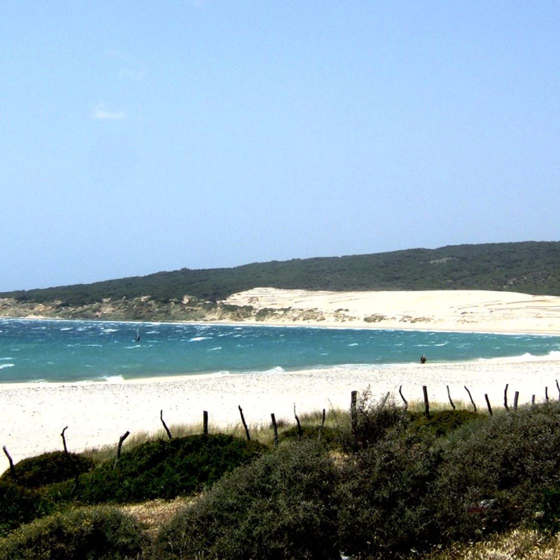 Lugar Playa Punta Paloma