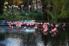 Places Grădina Zoologică Artis