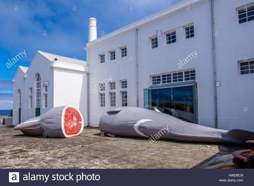 Museu da Fábrica da Baleia do Boqueirão