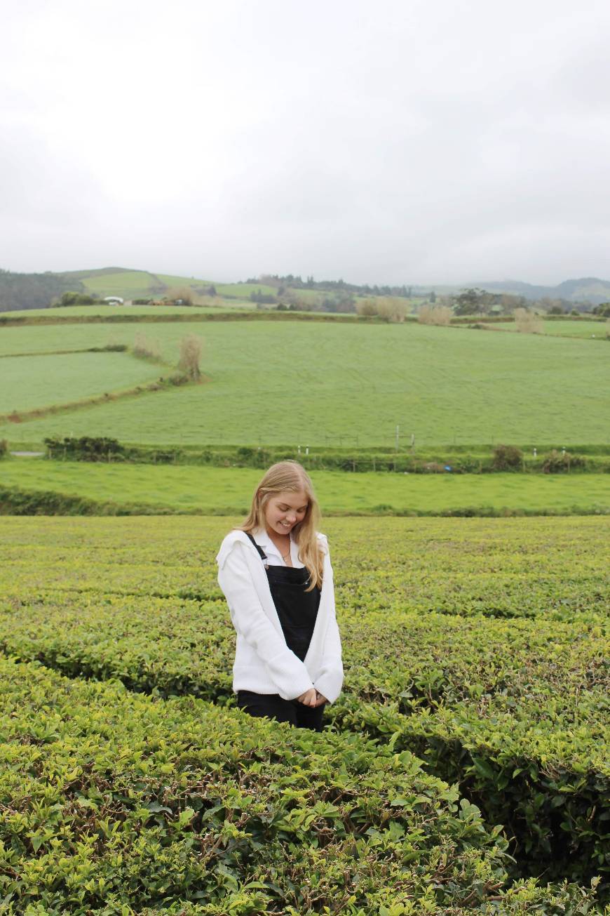 Place Fábrica do chá Gorreana